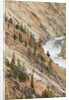 Yellowstone River in Grand Canyon of the Yellowstone by Anonymous