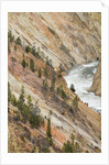 Yellowstone River in Grand Canyon of the Yellowstone by Anonymous