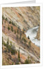 Yellowstone River in Grand Canyon of the Yellowstone by Anonymous