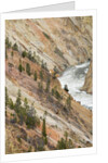 Yellowstone River in Grand Canyon of the Yellowstone by Anonymous