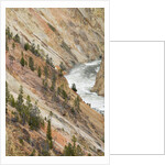 Yellowstone River in Grand Canyon of the Yellowstone by Anonymous