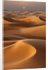 Sunset over the sand dunes in Dubai by Anonymous