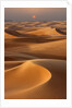 Sunset over the sand dunes in Dubai by Anonymous