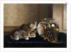 An Intense Study by Horatio Henry Couldery