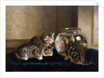 An Intense Study by Horatio Henry Couldery