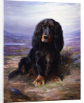 A Spaniel in the Highlands by Lilian Cheviot