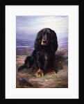 A Spaniel in the Highlands by Lilian Cheviot