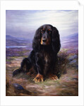 A Spaniel in the Highlands by Lilian Cheviot