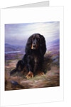 A Spaniel in the Highlands by Lilian Cheviot