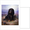 A Spaniel in the Highlands by Lilian Cheviot
