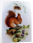 Red Squirrel with Primroses and Violets by Edward Julius Detmold