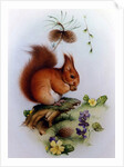 Red Squirrel with Primroses and Violets by Edward Julius Detmold