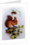 Red Squirrel with Primroses and Violets by Edward Julius Detmold