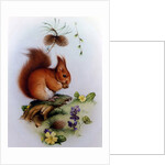 Red Squirrel with Primroses and Violets by Edward Julius Detmold
