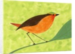 A Robin on a Branch by Anonymous