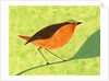 A Robin on a Branch by Anonymous