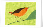 A Robin on a Branch by Anonymous