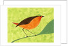 A Robin on a Branch by Anonymous