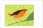 A Robin on a Branch by Anonymous