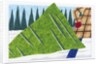 Towing a Freshly Cut Tree by Anonymous