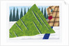 Towing a Freshly Cut Tree by Anonymous