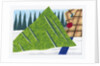 Towing a Freshly Cut Tree by Anonymous