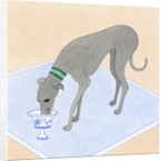 Dog Eating out of a Dish by Anonymous
