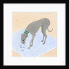 Dog Eating out of a Dish by Anonymous