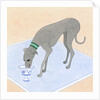 Dog Eating out of a Dish by Anonymous