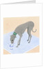 Dog Eating out of a Dish by Anonymous