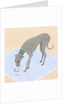 Dog Eating out of a Dish by Anonymous