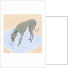 Dog Eating out of a Dish by Anonymous