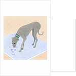 Dog Eating out of a Dish by Anonymous