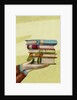 Holding Books by Anonymous