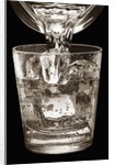 Water Glass by Anonymous