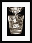 Water Glass by Anonymous