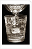 Water Glass by Anonymous