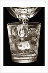 Water Glass by Anonymous