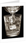 Water Glass by Anonymous