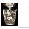 Water Glass by Anonymous