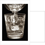 Water Glass by Anonymous