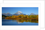 Oxbow Bend in Grand Teton National Park by Anonymous