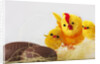 Toy chickens looking at chocolate eggs by Anonymous