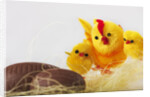 Toy chickens looking at chocolate eggs by Anonymous