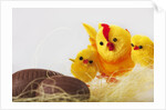 Toy chickens looking at chocolate eggs by Anonymous
