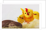 Toy chickens looking at chocolate eggs by Anonymous