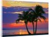 Colorful sunset over Sombrero Beach in the Florida Keys by Anonymous