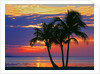 Colorful sunset over Sombrero Beach in the Florida Keys by Anonymous