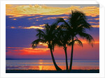 Colorful sunset over Sombrero Beach in the Florida Keys by Anonymous