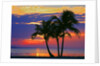 Colorful sunset over Sombrero Beach in the Florida Keys by Anonymous